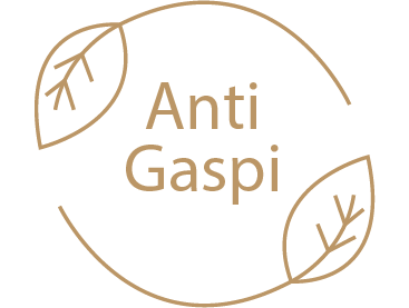 Anti Gaspi