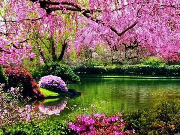 🌸 Brise de printemps 🐝