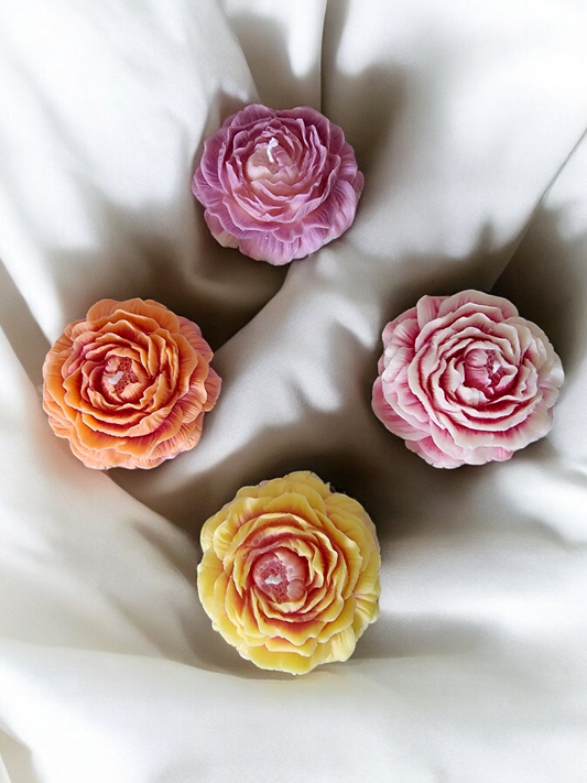 Bougie - Mignonne, allons voir si la Rose